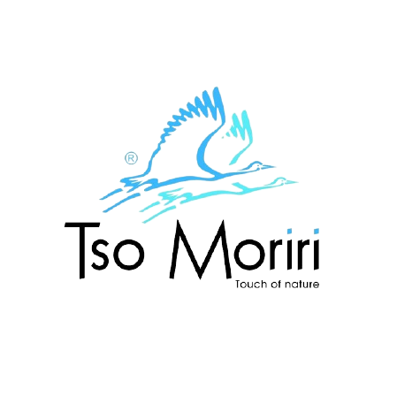 logo Tso Moriri